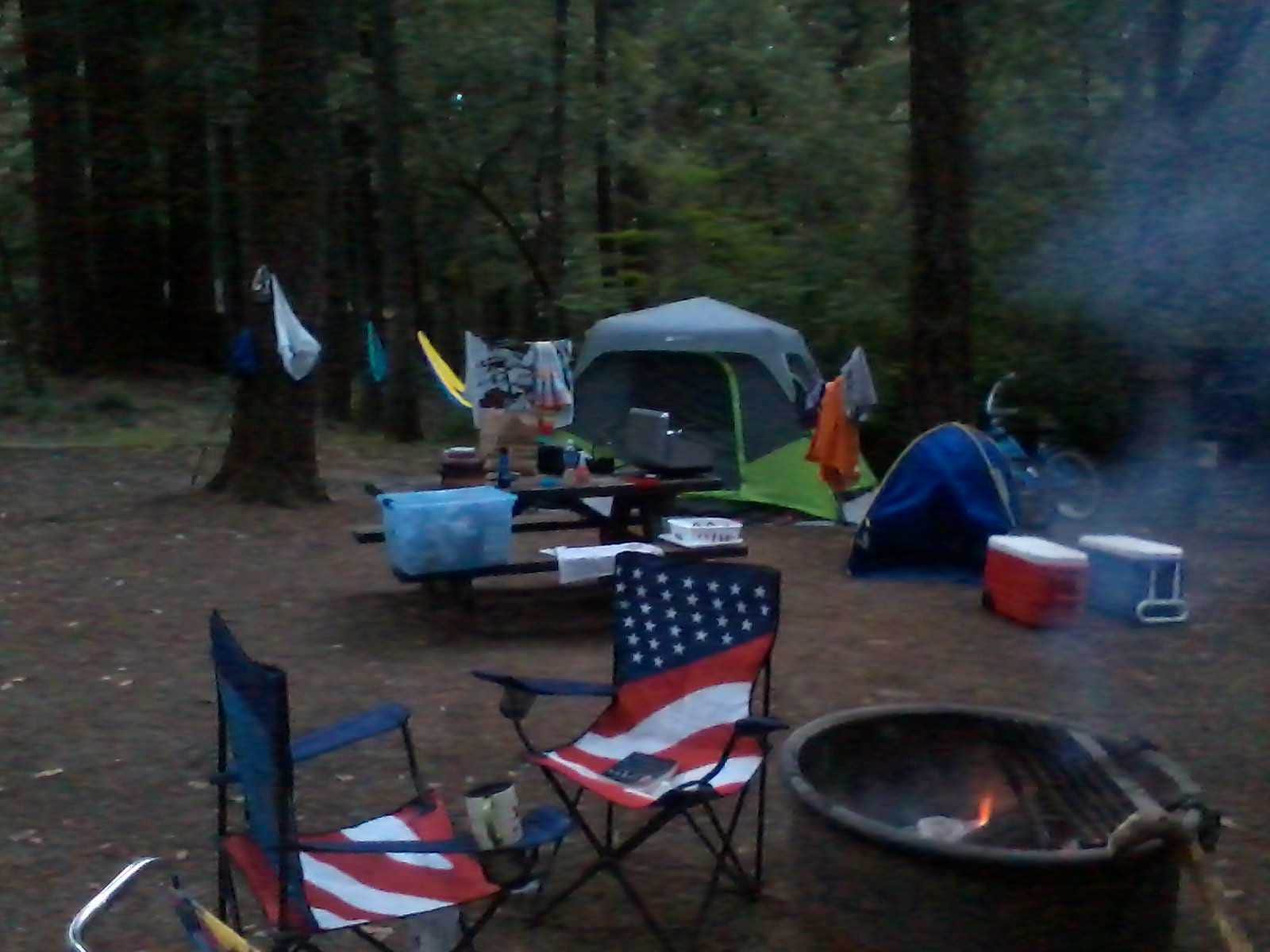 Melissa B.'s photo at Richardson Grove State Park Campground near Whitethorn, CA