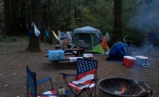 Melissa B.'s photo at Richardson Grove State Park Campground near Phillipsville, CA