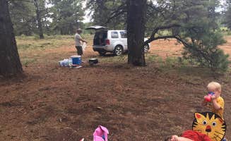 Kristen W.'s photo at Uinta Flat Dispersed in Utah