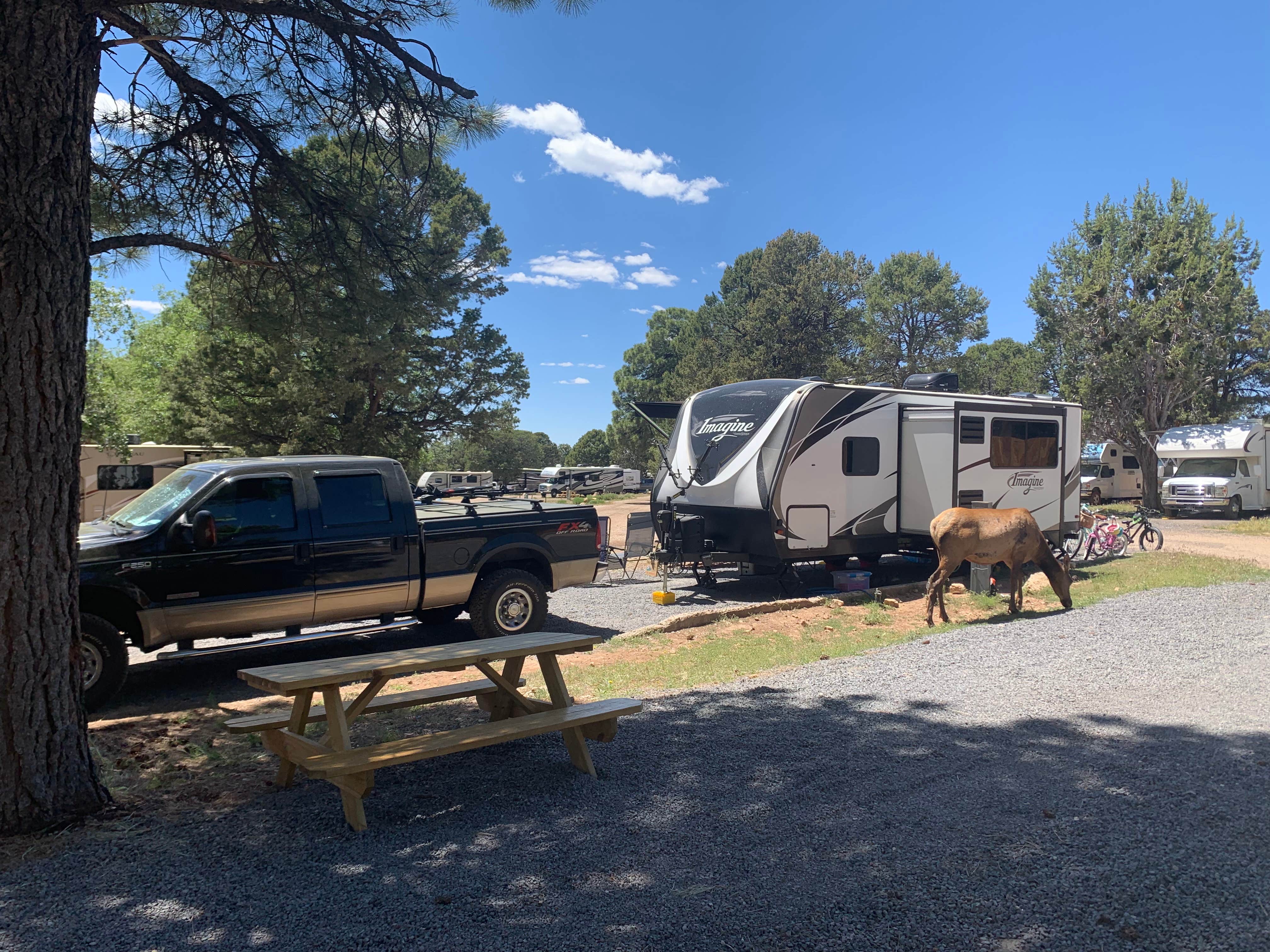 Scott B.'s photo of rv camping at Trailer Village RV Park — Grand Canyon National Park near Supai, AZ