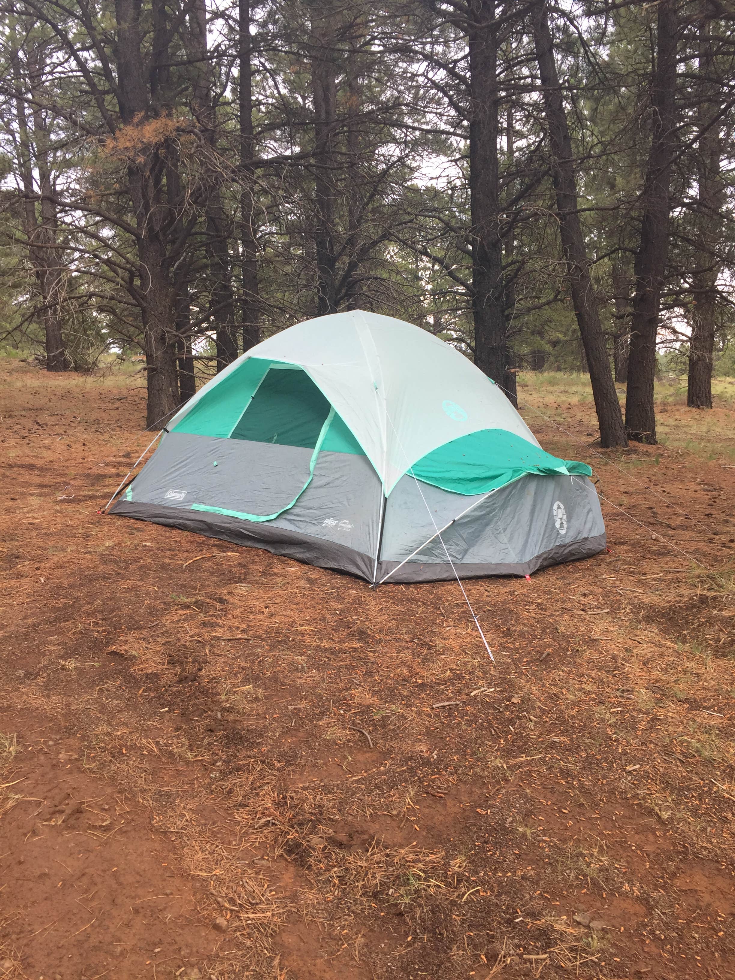 Kristen W.'s photo of a dispersed camping area at Uinta Flat Dispersed near Orderville, UT