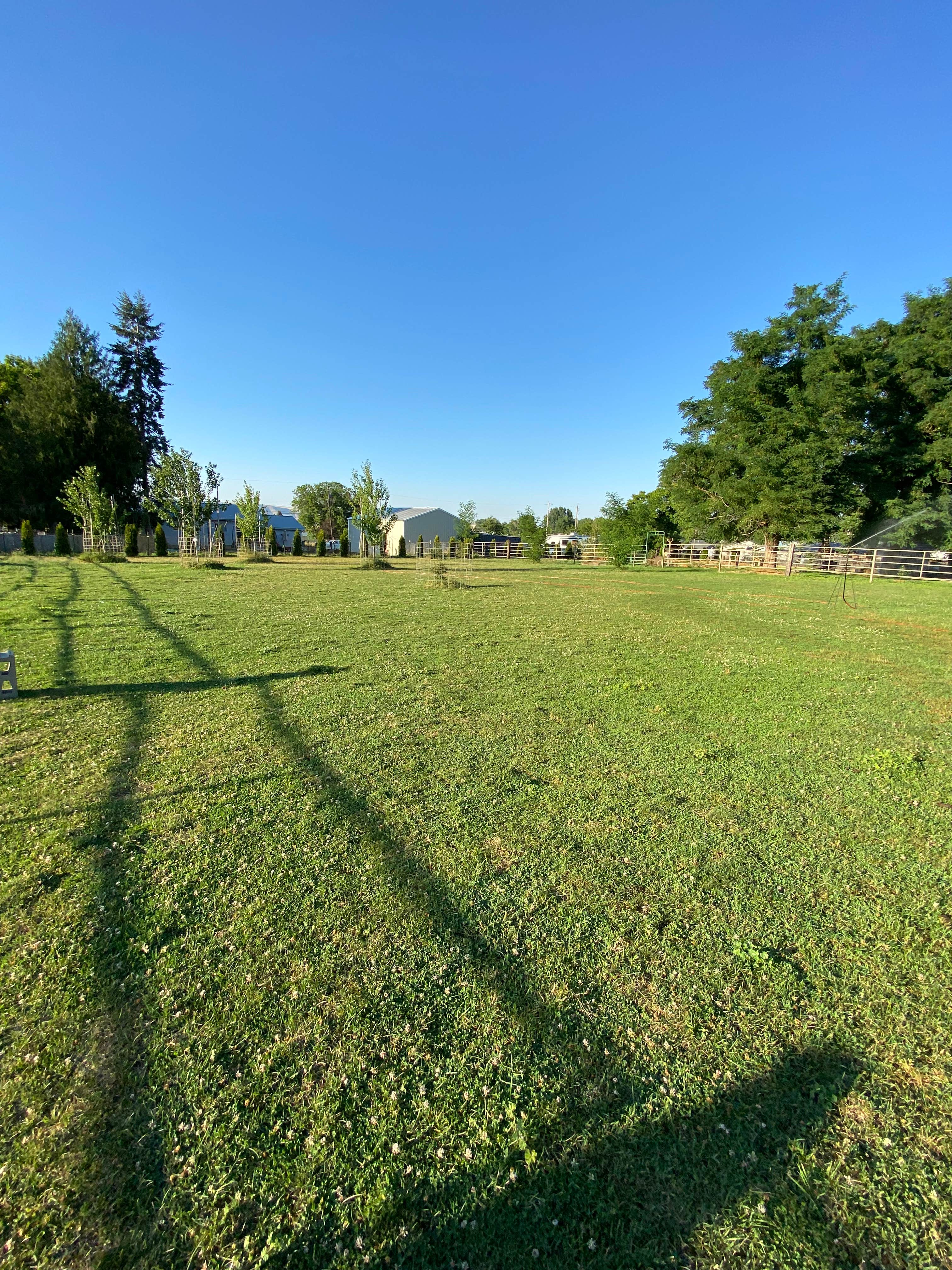 Camper-submitted photo at Triple H Mini Ranch near Elk River, ID