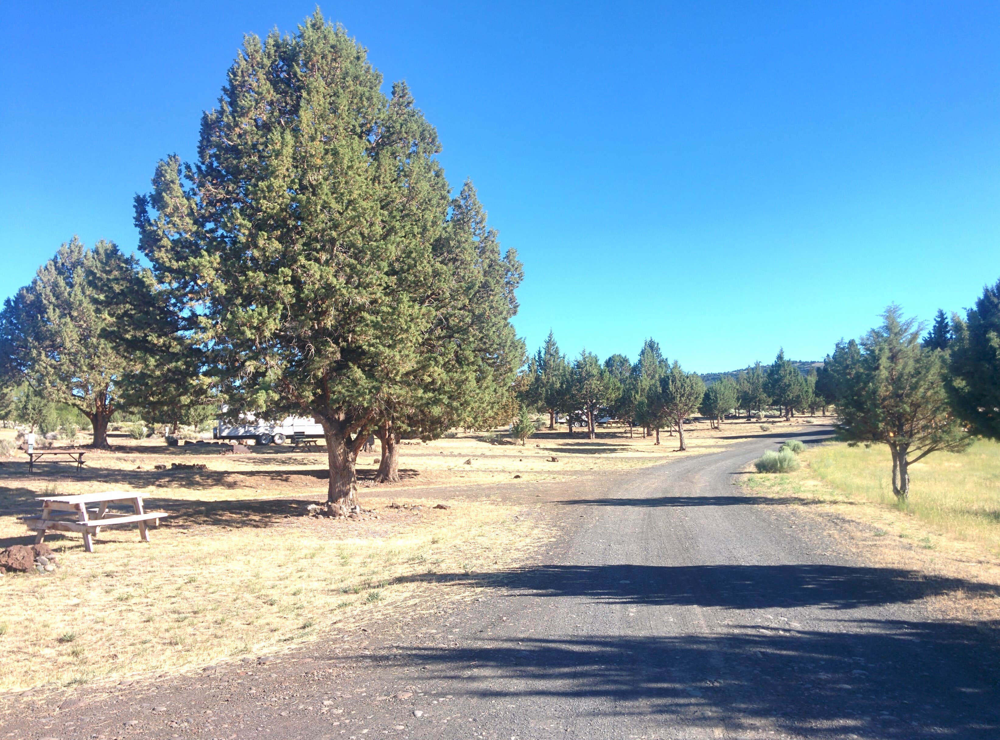 Camper-submitted photo at Steens Mountain Wilderness Resort near Diamond, OR