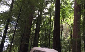 Camping near Dean Creek Resort: Williams Grove Group Camp — Humboldt Redwoods State Park, Myers Flat, California