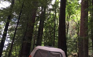 Susan  H.'s photo of tent camping at Williams Grove Group Camp — Humboldt Redwoods State Park near Petrolia, CA