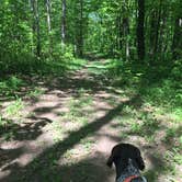 Review photo of Mauthe Lake Campground — Kettle Moraine State Forest-Northern Unit-Iansr by Jay W., July 19, 2018