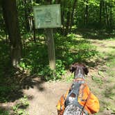 Review photo of Mauthe Lake Campground — Kettle Moraine State Forest-Northern Unit-Iansr by Jay W., July 19, 2018