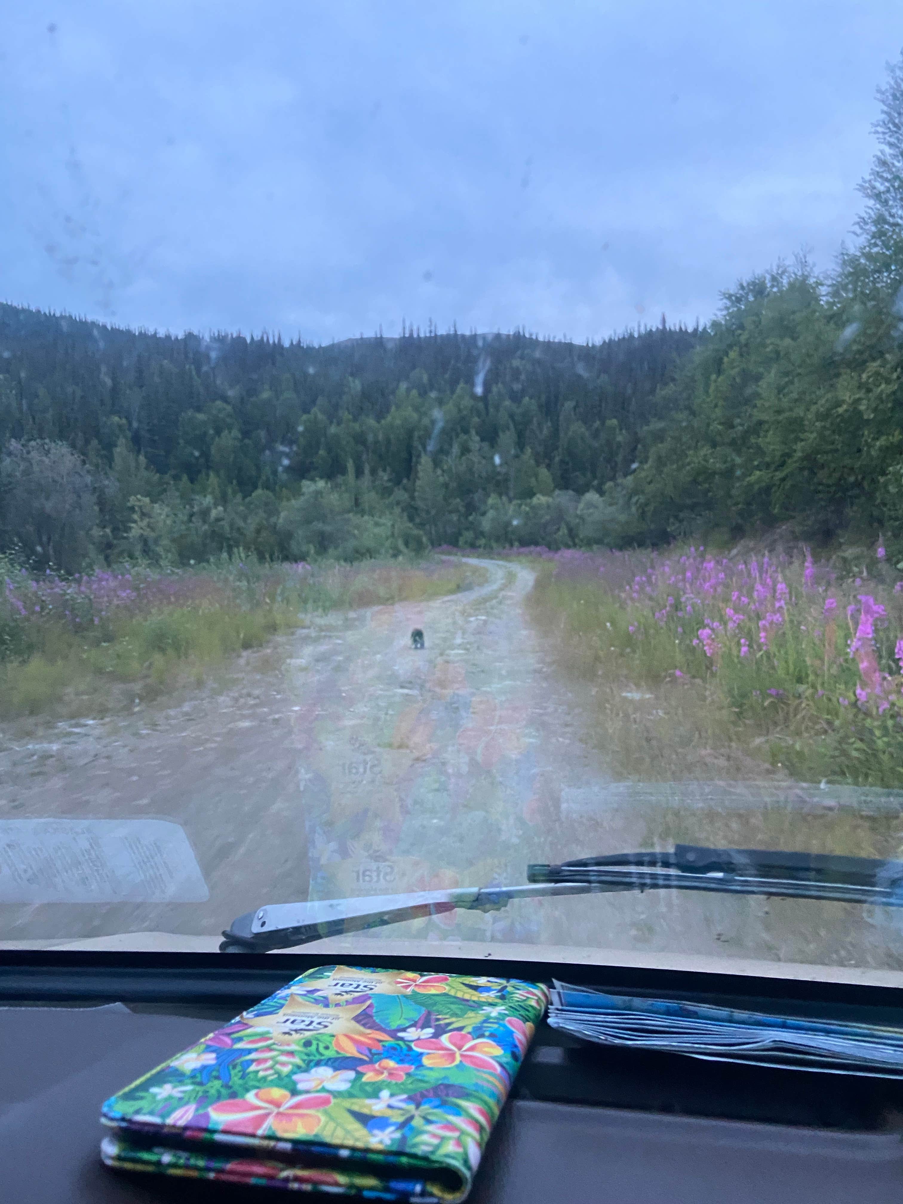 Camper-submitted photo at Elliott Highway Pulloff Loop- Dispersed Camping near Badger, AK