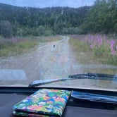 Review photo of Elliott Highway Pulloff Loop- Dispersed Camping by Riley N., July 26, 2022