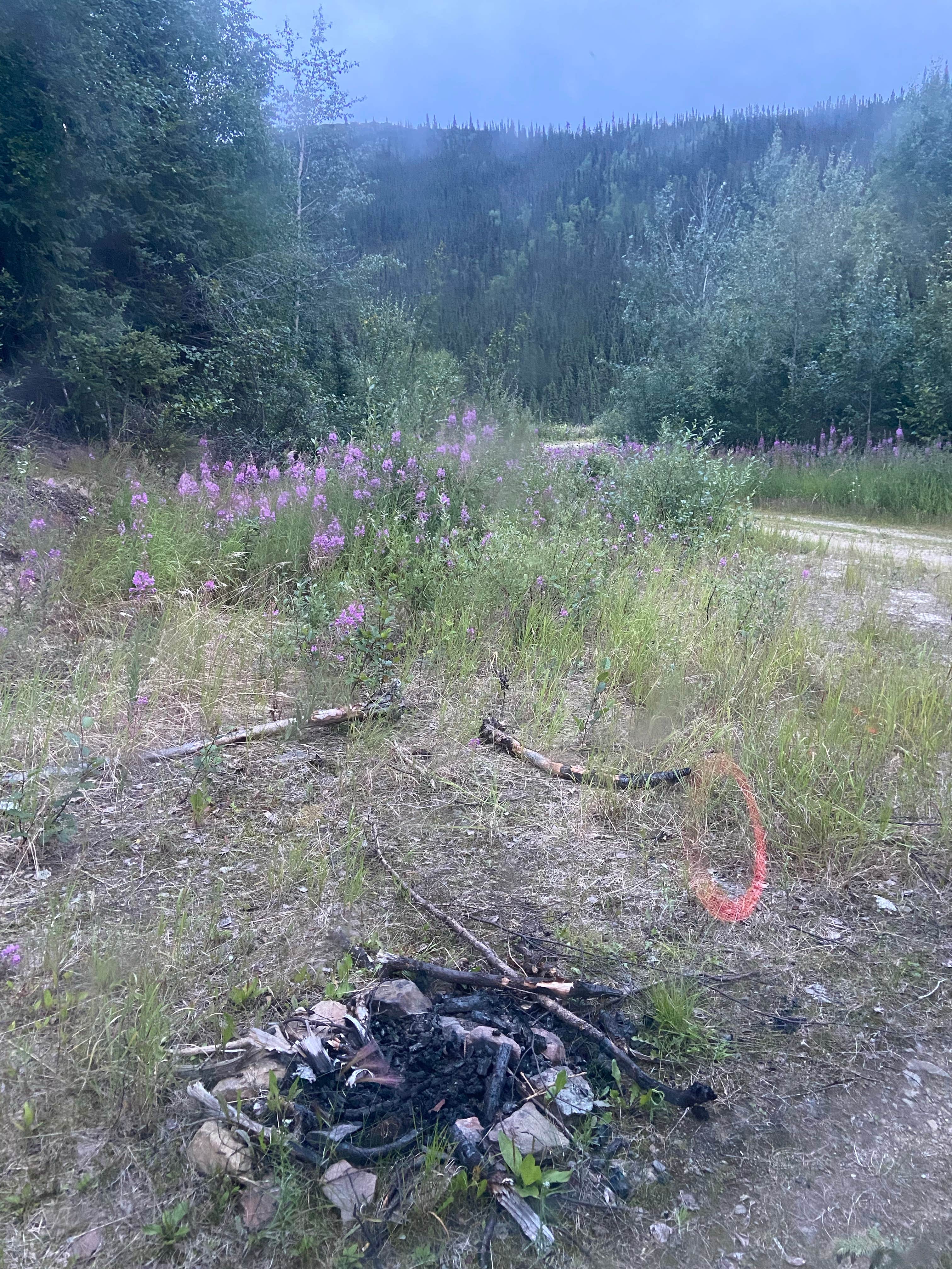 Camper-submitted photo at Elliott Highway Pulloff Loop- Dispersed Camping near Badger, AK