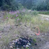 Review photo of Elliott Highway Pulloff Loop- Dispersed Camping by Riley N., July 26, 2022