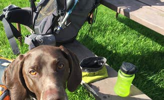 Jay W.'s photo of camping with pets at High Cliff State Park Campground near Neenah, WI