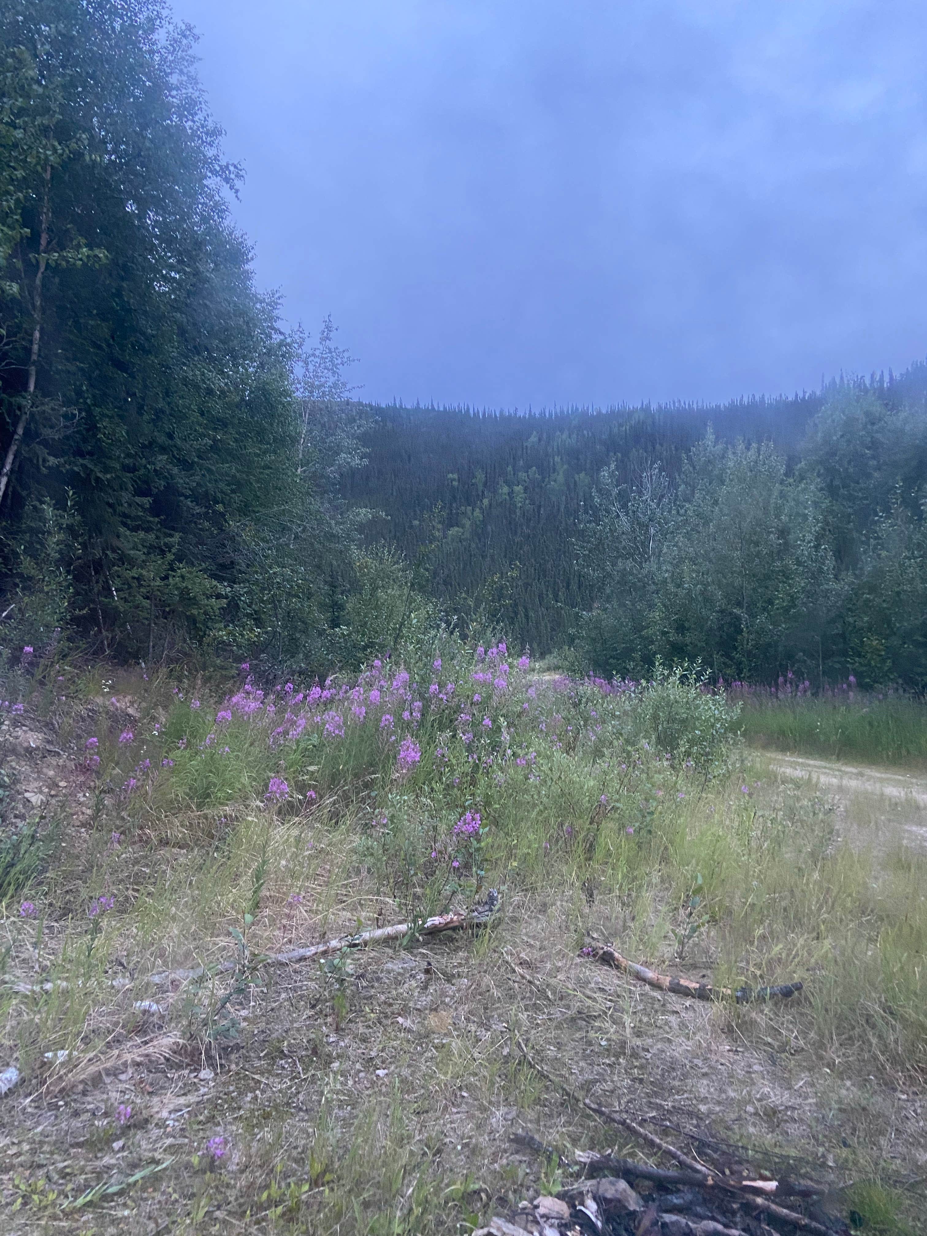 Camper-submitted photo at Elliott Highway Pulloff Loop- Dispersed Camping near Badger, AK