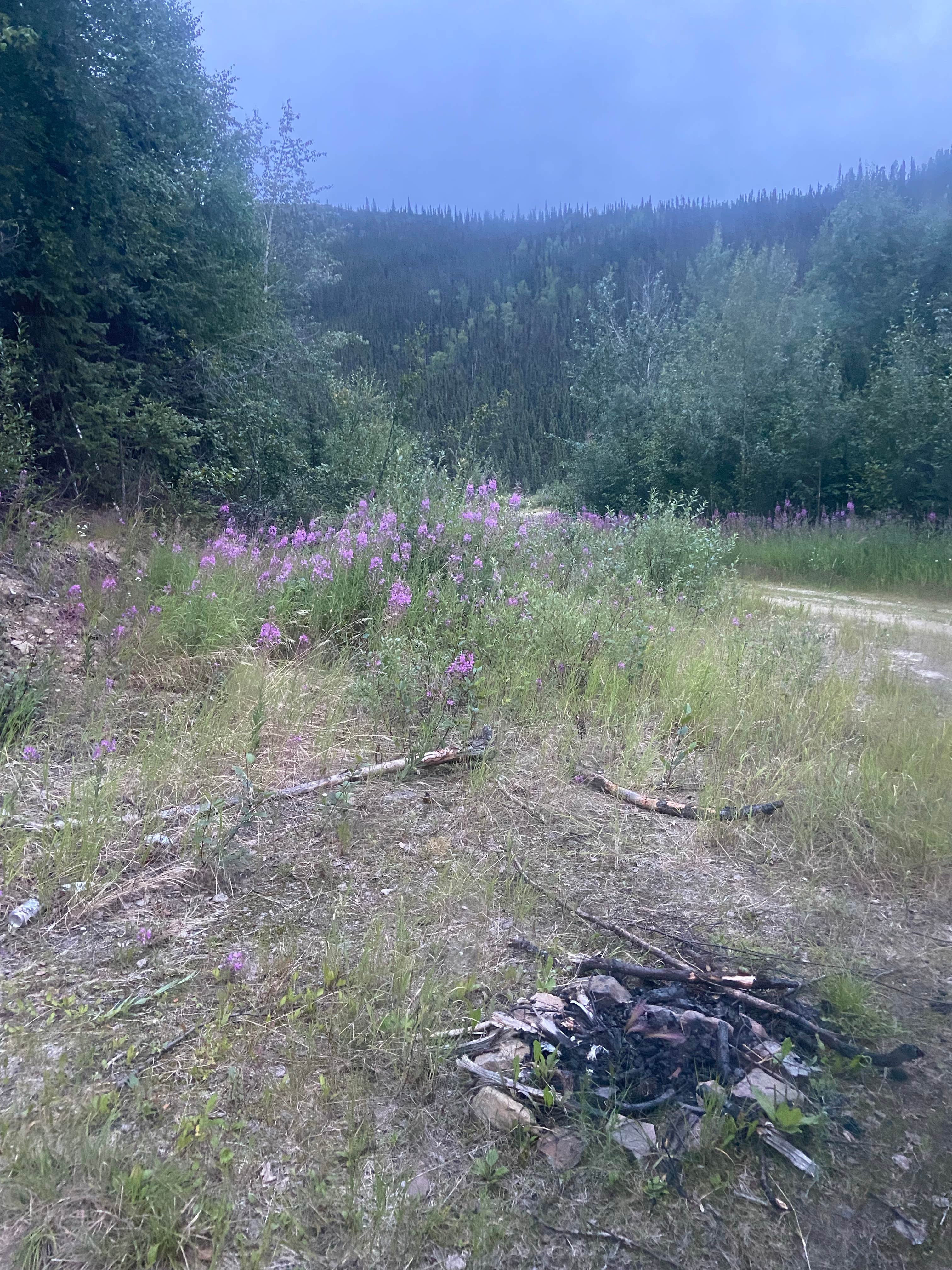Camper-submitted photo at Elliott Highway Pulloff Loop- Dispersed Camping near Badger, AK