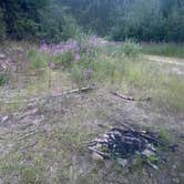 Review photo of Elliott Highway Pulloff Loop- Dispersed Camping by Riley N., July 26, 2022