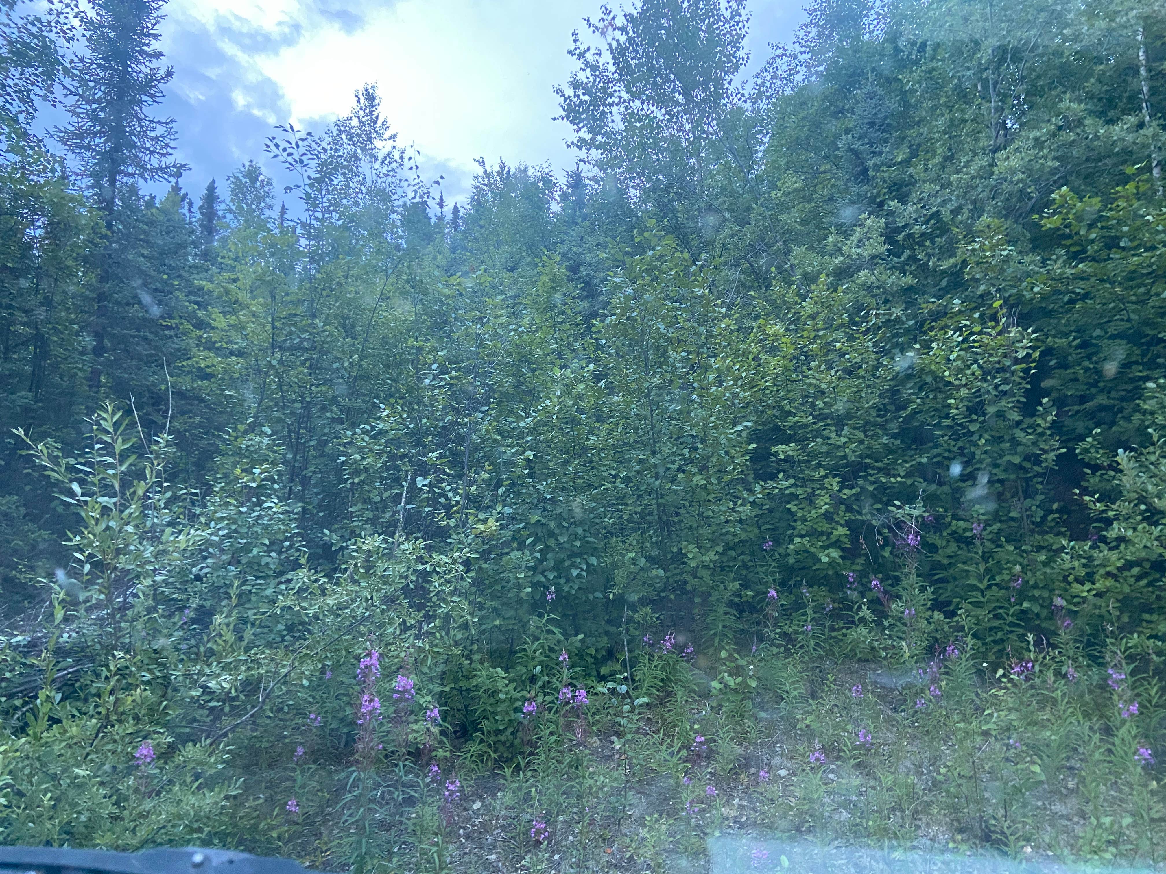 Camping near Wickersham Creek Trail Shelter: Elliott Highway Pulloff Loop- Dispersed Camping, Ester, Alaska