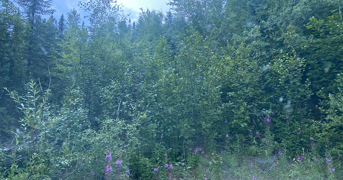 Elliott Highway Pulloff Loop- Dispersed Camping