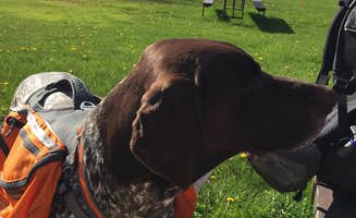 Jay W.'s photo of camping with pets at High Cliff State Park Campground near Maribel, WI