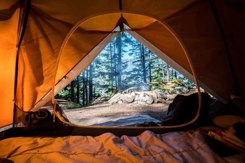 Camper submitted image from Camp QUACKER - 2