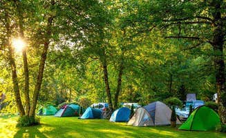 The Dyrt's photo at Camp QUACKER near Higley, AZ