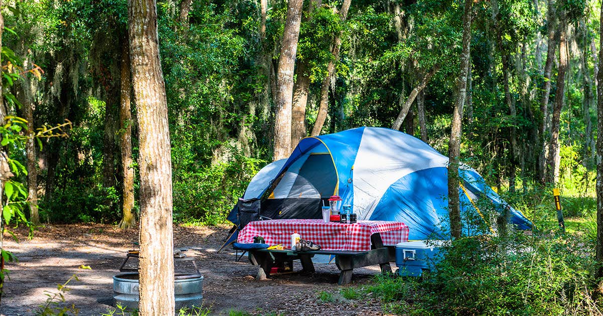 The Dyrt's photo at Camp QUACKER near Paradise Valley, AZ