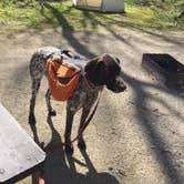 Review photo of High Cliff State Park Campground by Jay W., July 17, 2018