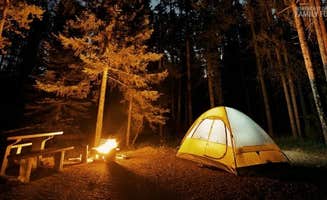 The Dyrt's photo at Camp QUACKER near Florence, AZ
