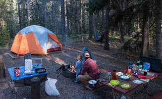 The Dyrt's photo at Camp QUACKER near Gilbert, AZ