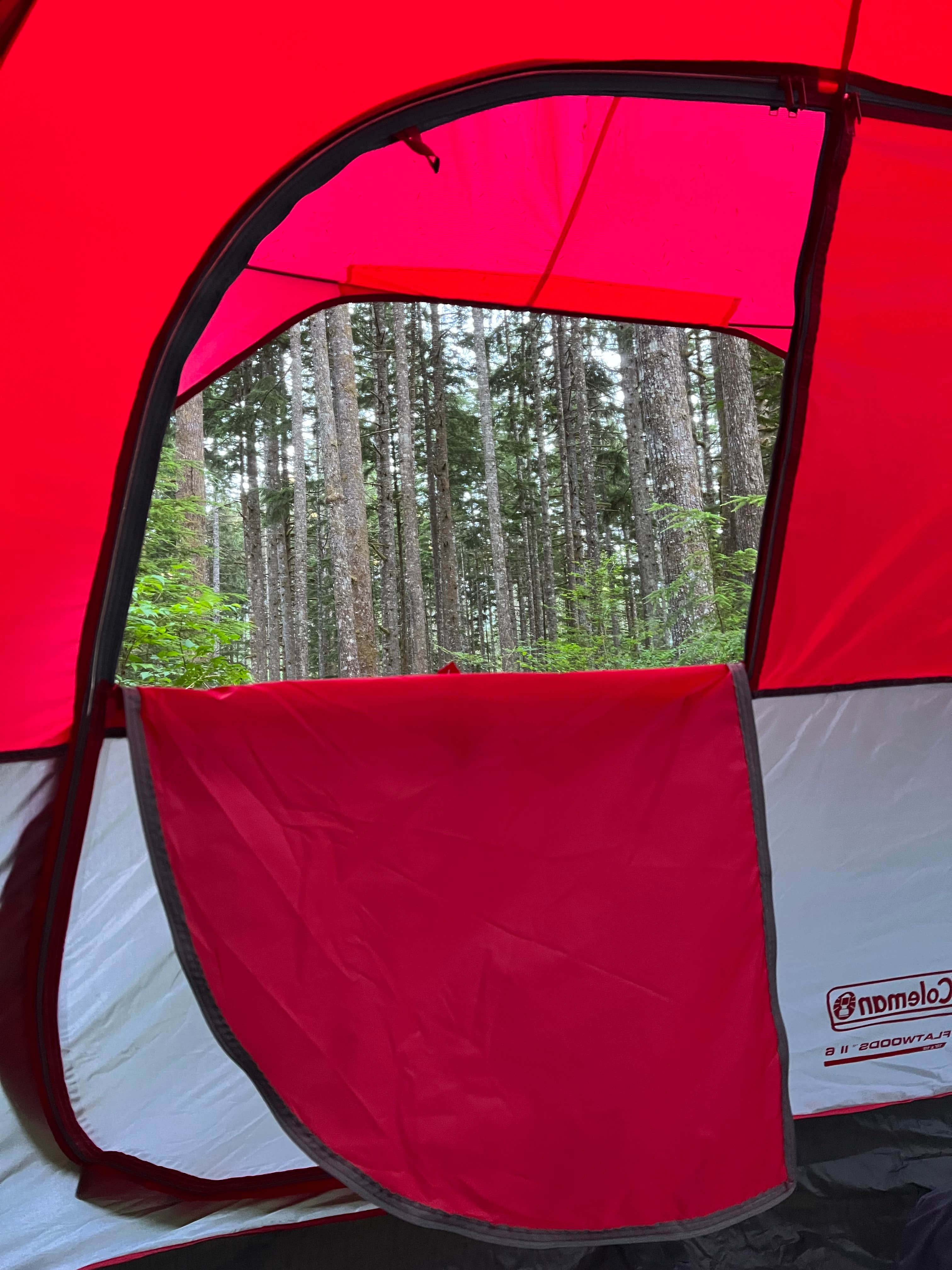 Kaitlin A.'s photo at Middle Fork Campground near Snoqualmie Pass, WA