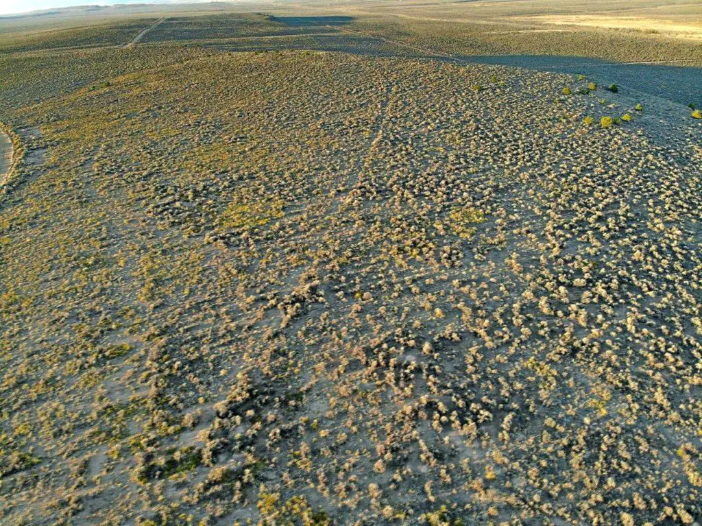 Camper-submitted photo at Secluded Star Gazer Campsite Near Great Sand Dunes National Park near Blanca, CO