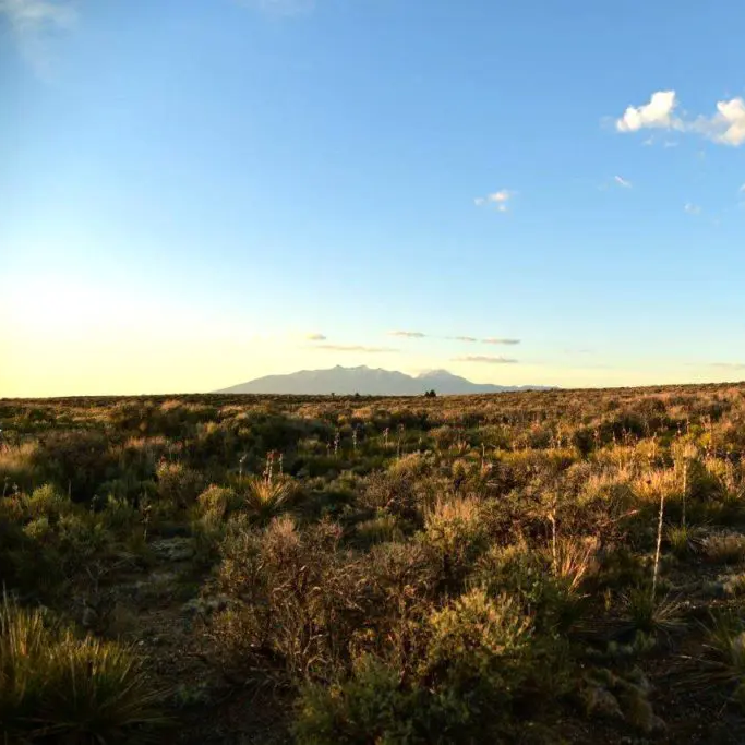 Secluded Star Gazer Campsite Near Great Sand Dunes National Park