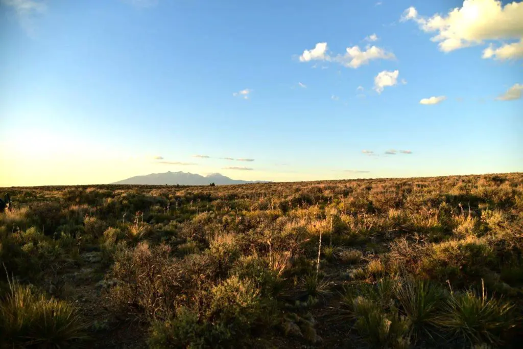 Camper submitted image from Secluded Star Gazer Campsite Near Great Sand Dunes National Park - 1