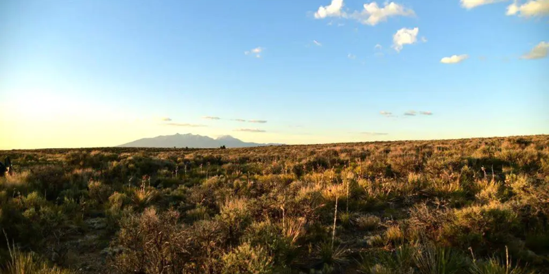 Camper submitted image from Secluded Star Gazer Campsite Near Great Sand Dunes National Park