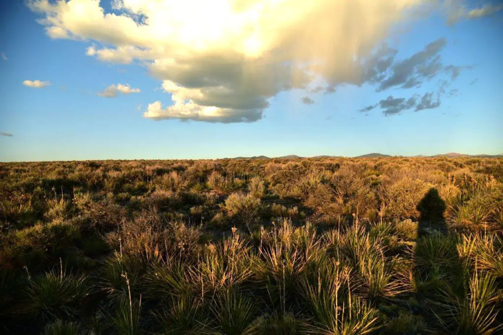 Camper-submitted photo at Secluded Star Gazer Campsite Near Great Sand Dunes National Park near Blanca, CO
