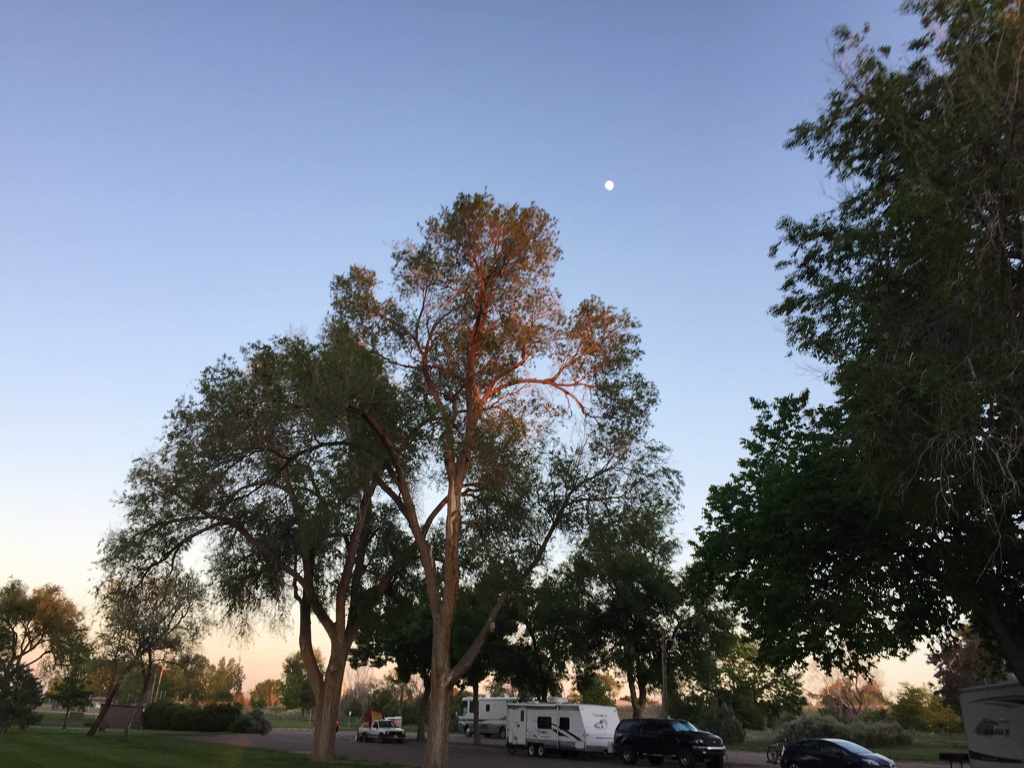 Camper-submitted photo at Riverside Park Campground near Fort Morgan, CO