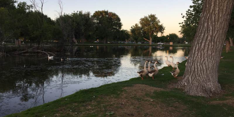 Camper submitted image from Riverside Park Campground