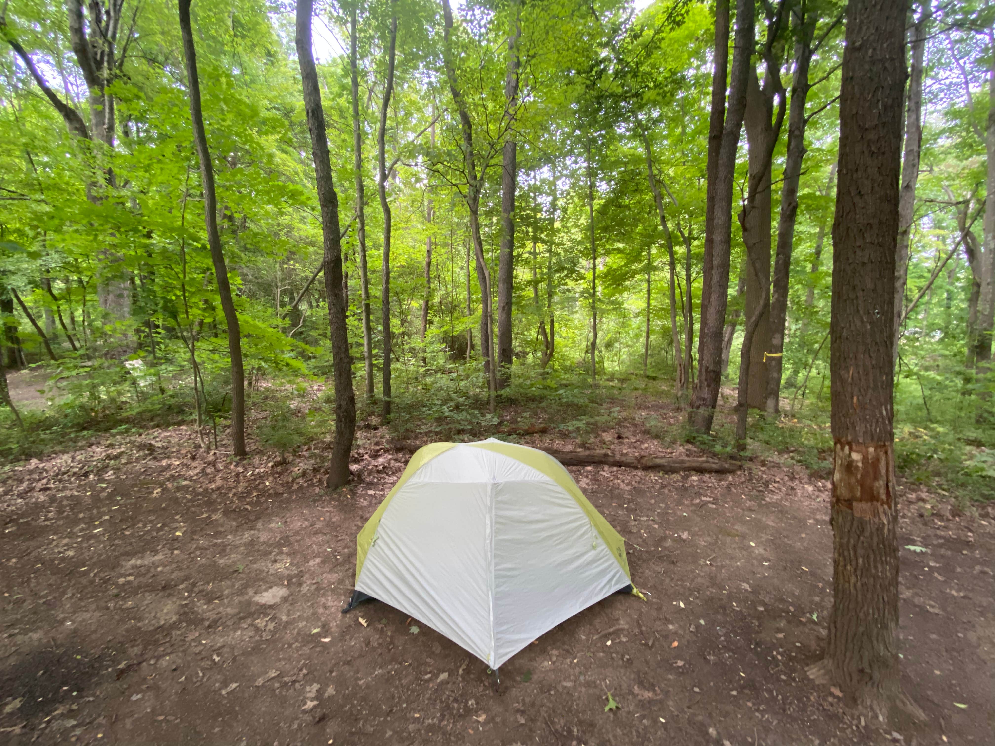 Katie O.'s photo at Punderson State Park Campground in Ohio