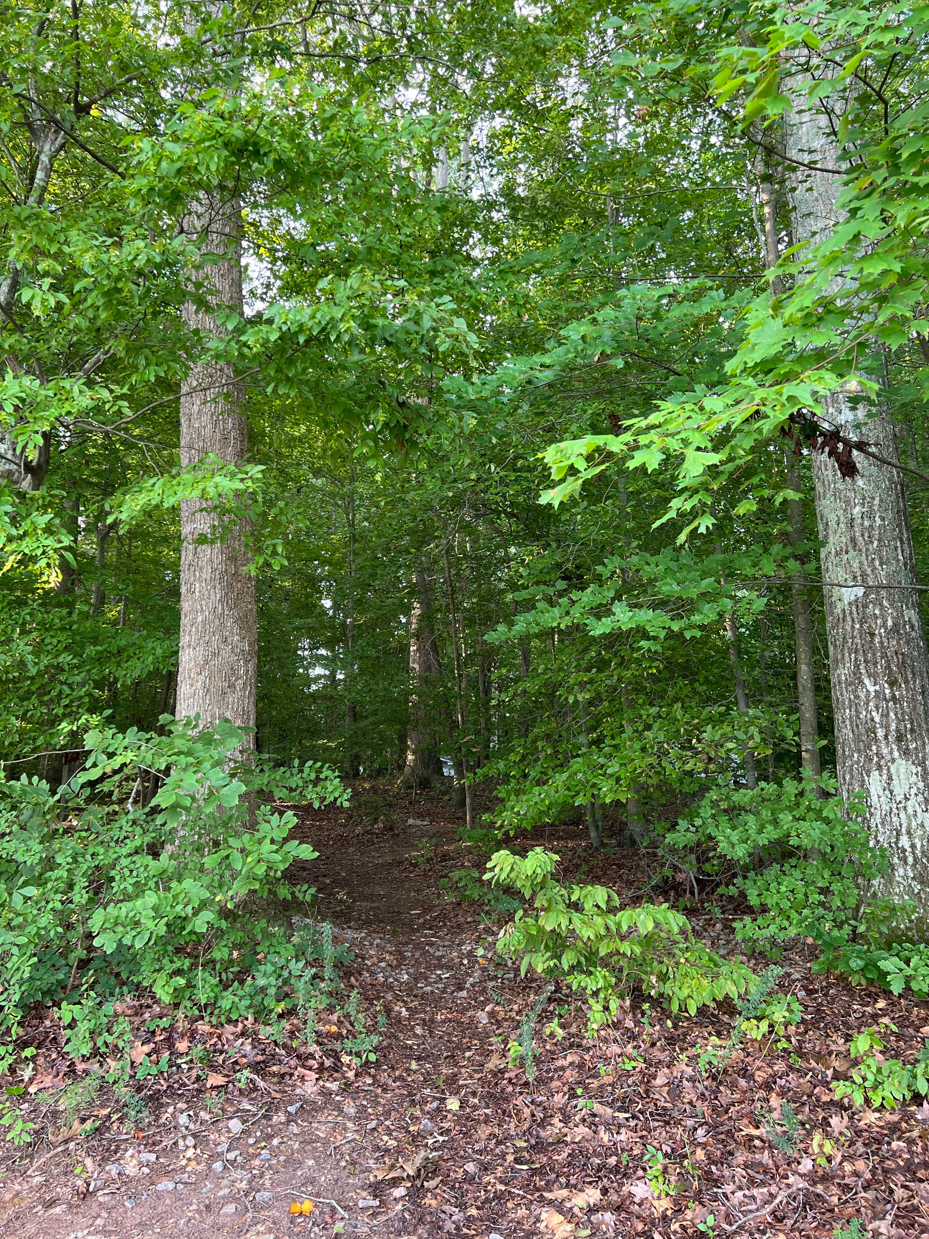 Camper submitted image from Satterwhite — Kerr Lake State Recreation Area - 1