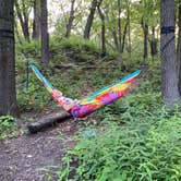 Review photo of Dunewood Campground — Indiana Dunes National Park by Katie O., July 26, 2022