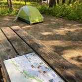 Review photo of Dunewood Campground — Indiana Dunes National Park by Katie O., July 26, 2022