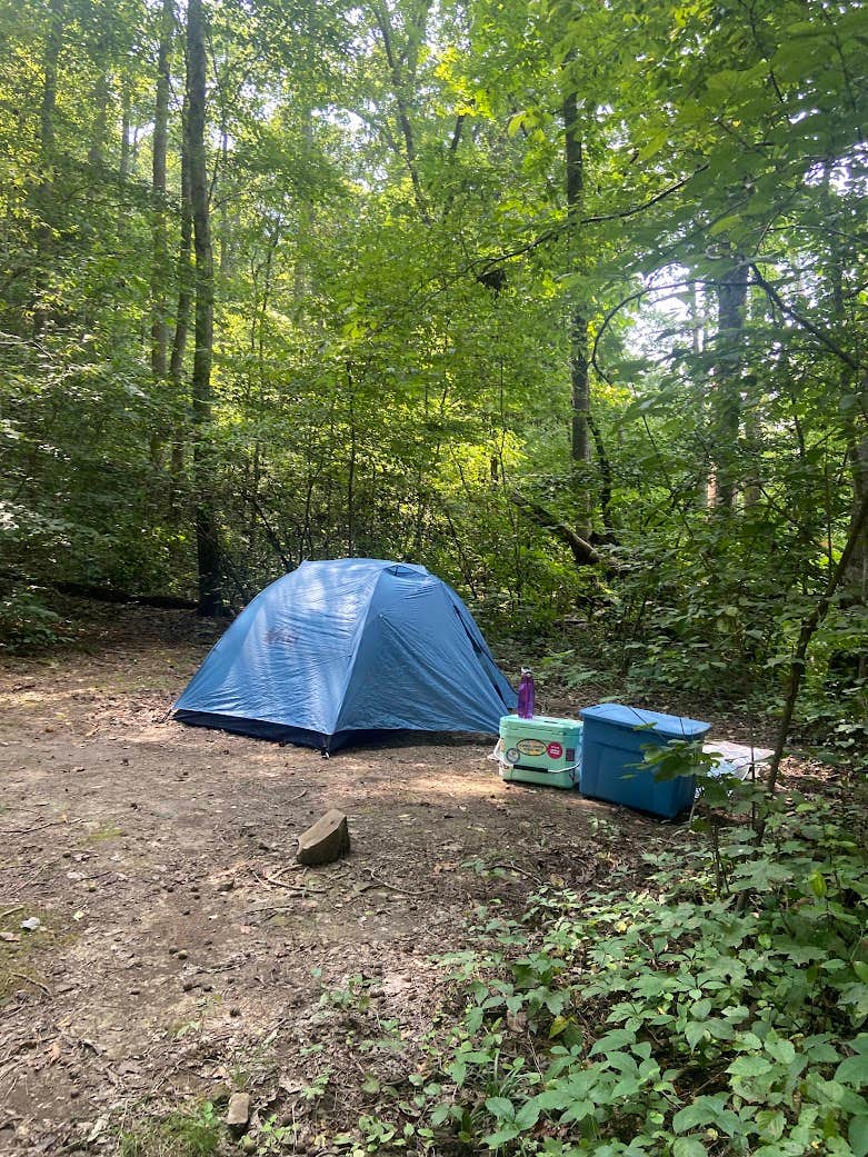 Anna S.'s photo at Shawnee State Park Campground in Ohio