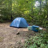 Review photo of Shawnee State Park Campground by Anna S., July 26, 2022