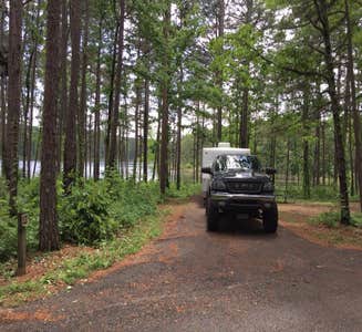 Camper-submitted photo from Pinewoods Lake Campground
