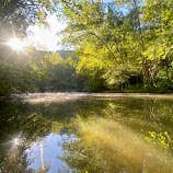 Review photo of Park and Pack Campsite 10 — Mohican-Memorial State Forest by Anna S., July 26, 2022