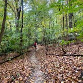 Review photo of Park and Pack Campsite 10 — Mohican-Memorial State Forest by Anna S., July 26, 2022