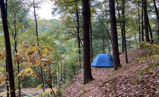 Anna S.'s photo of tent camping at Park and Pack Campsite 10 — Mohican-Memorial State Forest near Lewis Center, OH