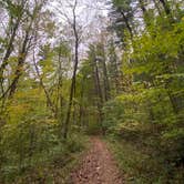 Review photo of Park and Pack Campsite 10 — Mohican-Memorial State Forest by Anna S., July 26, 2022