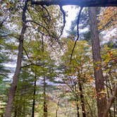 Review photo of Park and Pack Campsite 10 — Mohican-Memorial State Forest by Anna S., July 26, 2022