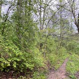 Review photo of Strouds Run State Park Campground by Anna S., July 26, 2022