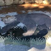 Review photo of Cachuma Lake Recreation Area by Ashley E., July 21, 2018